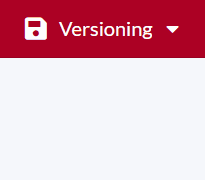 Versionning_2.gif