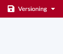 Versionning_3.gif