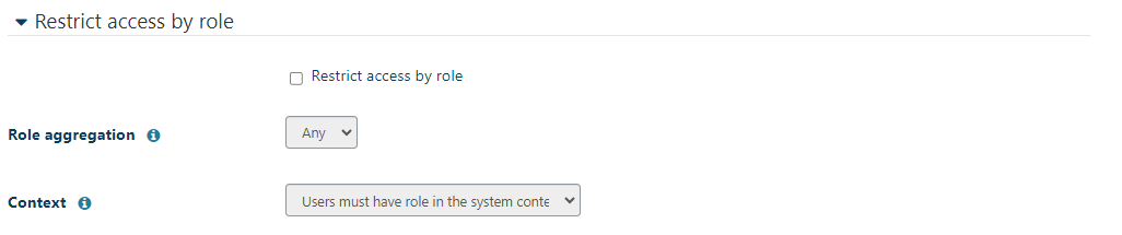 Role - Menu Item.png